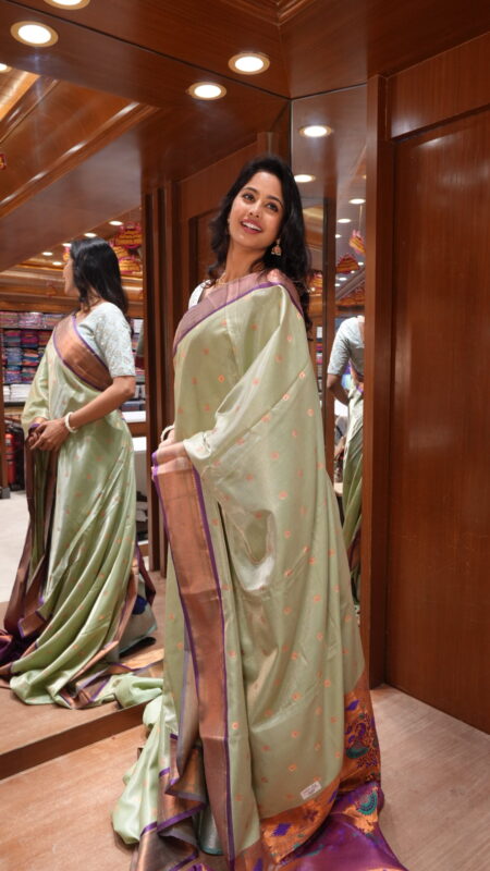 Meadow Majesty: Sage Green & Royal Purple Silk Saree